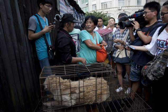 Markets offering dog meat in China have come under increased pressure because of claims of cruelty and poor hygiene. Picture: AFP/Getty