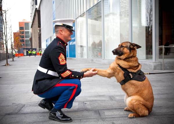 Retired US Marine Corps dog Lucca with owner Gunnery Sergeant Christopher Willingham. Picture: PA