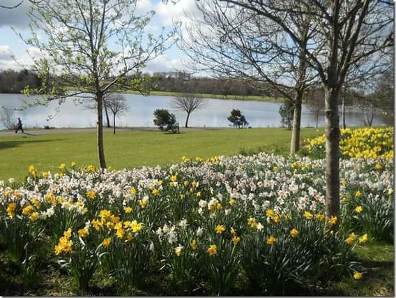 Hogganfield Loch. Picture: Alan Ingram
