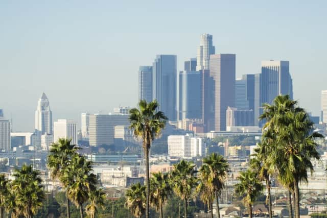 Palm trees foreground the LA skyline