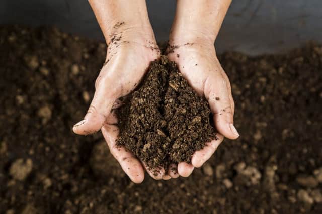 The Eart's soil could be the key to tackling climate change.