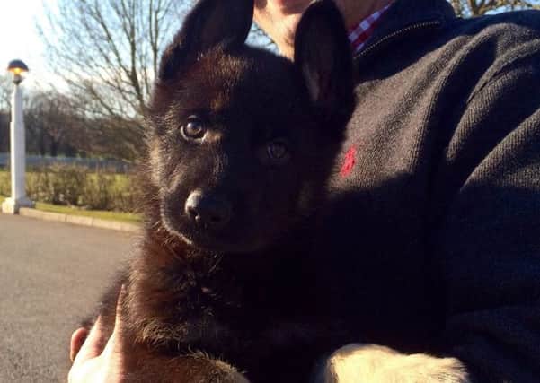 Bodie, the new recruit for Police Scotland