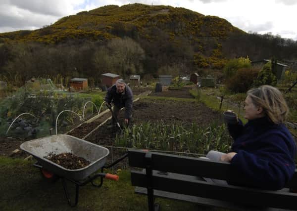 Current demand for allotments far outstrips supply. Picture: TSPL