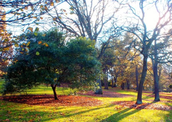 Botanic gardens can play a vital role in conservation. Picture: Viviane Johnston