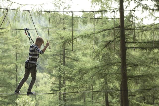 A young adventurer at Go Ape in Glentress