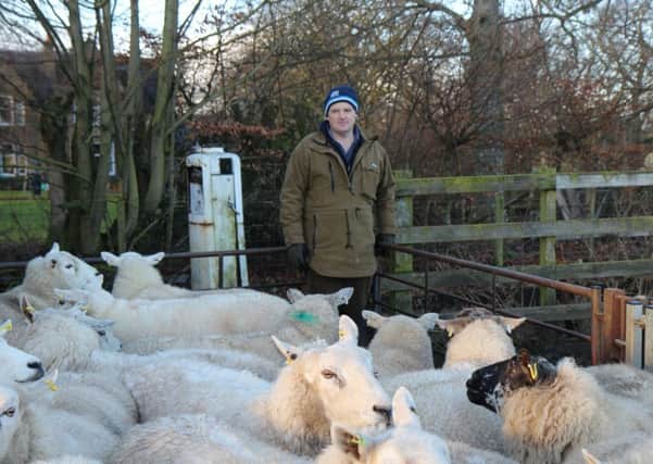 This Farming Life covered all the highs and lows. Picture: Jane Handa/BBC