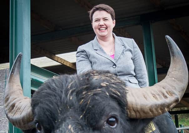 Ruth Davidson reminded voters it was her name on the ballot paper, not David Camerons. Picture: Wullie Marr