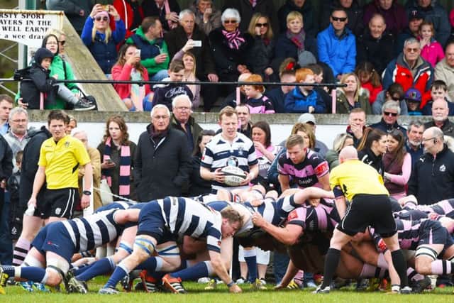 Heriot's scrum-half Tom Wilson gets ready to puts the ball in against Ayr at Millbrae. Picture: Gary Hutchison/SNS/SRU