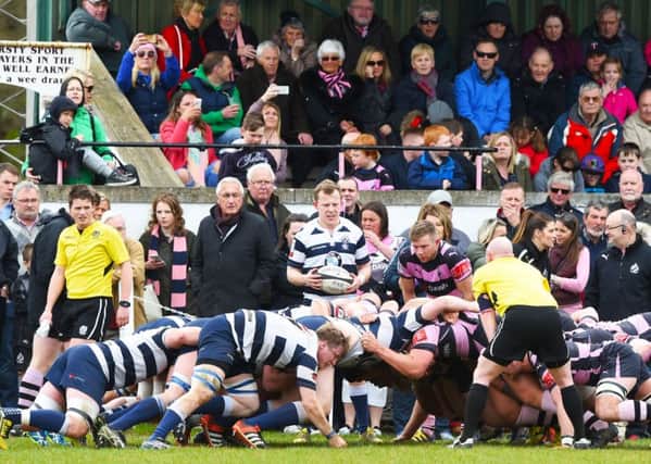 Heriot's scrum-half Tom Wilson gets ready to puts the ball in against Ayr at Millbrae. Picture: Gary Hutchison/SNS/SRU