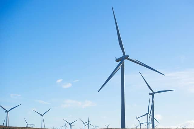 Liz Cameron said Scotland could be a world leader in renewable power. Picture: John Devlin