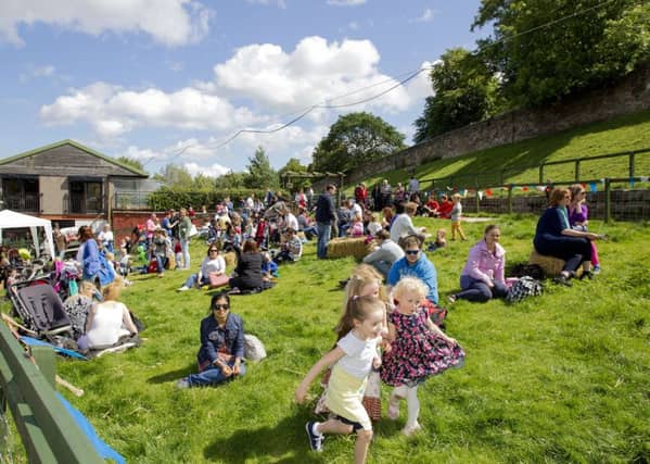 Gorgie City Farm. Picture by Malcolm McCurrach