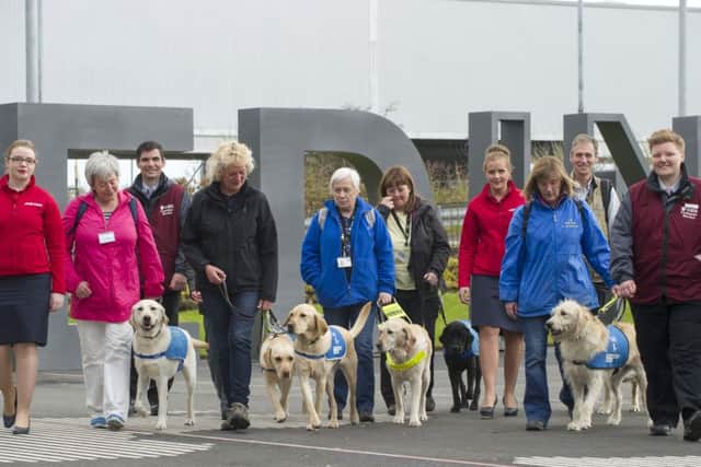 Guide Dogs Scotlands new recruits were today taken on a familiarisation visit to Edinburgh Airport. Picture: Lesley Martin