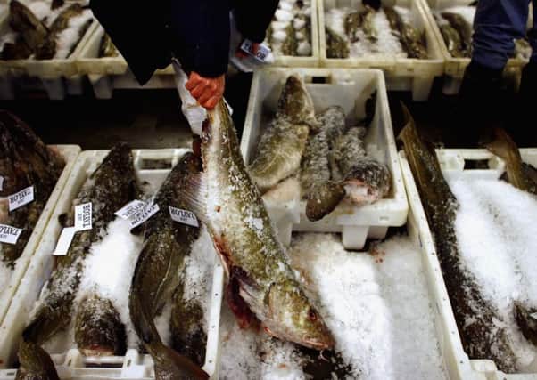 Buyers at Peterhead fish market inspect the latest catch in Peterhead, Scotland. Picture: Getty Images