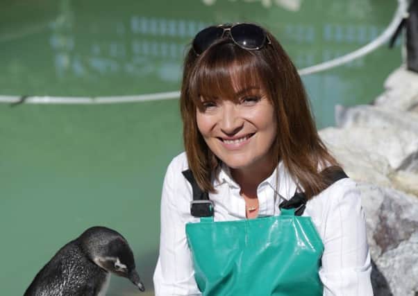 Kelly gets close to poorly penguins in her new TV show. Picture: Remedy Productions/Channel 5