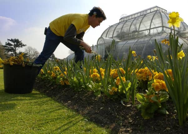 Royal Botanic Gardens, Kew. Picture: PA