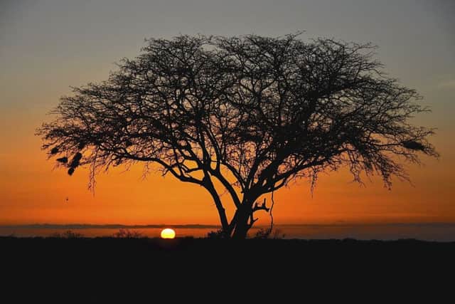 Tsavo East National Park Kenya