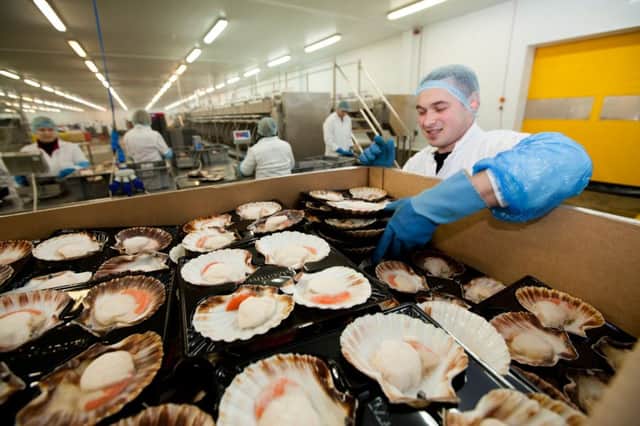 Peterhead-based Macduff Shellfish was taken over by Clearwater Seafoods for Â£98.4 million. Picture: Contributed