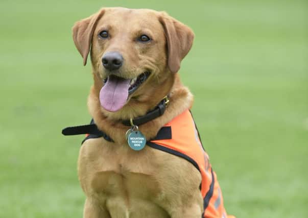 Rauour receiveshis PDSA commendation for devotion to duty. Picture: Sandy Young.