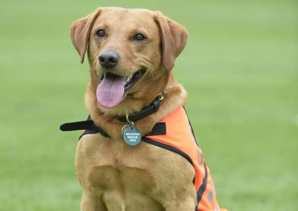 Rauour receiveshis PDSA commendation for devotion to duty. Picture: Sandy Young.