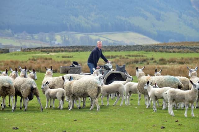 Farmers have been warned of extreme risk they will not get their payments by deadline of 30 June. Picture: Jon Savage