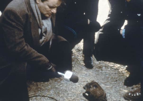 Bill Murray interviews Punxsutawney Phil in the Groundhog Day. Picture: Kobal Collection