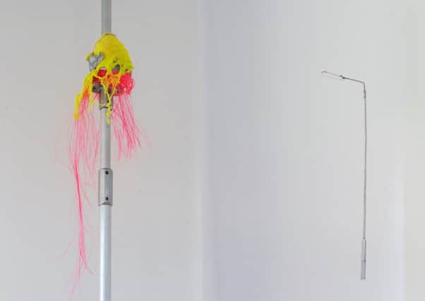 Jacqueline Donachie's Winter Trees, 2013, mixed media installation. Picture: Alan Dimmick
