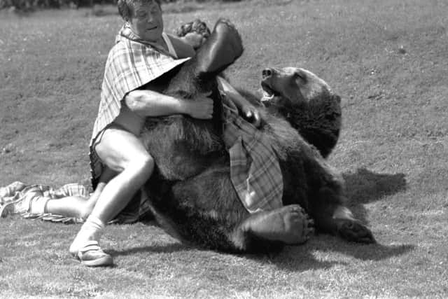 Hercules the bear and his owner Andy Robin wrestle in the 22ft long kilt which the bear was to wear at the Callander Highland Games. Picture taken July 1987.