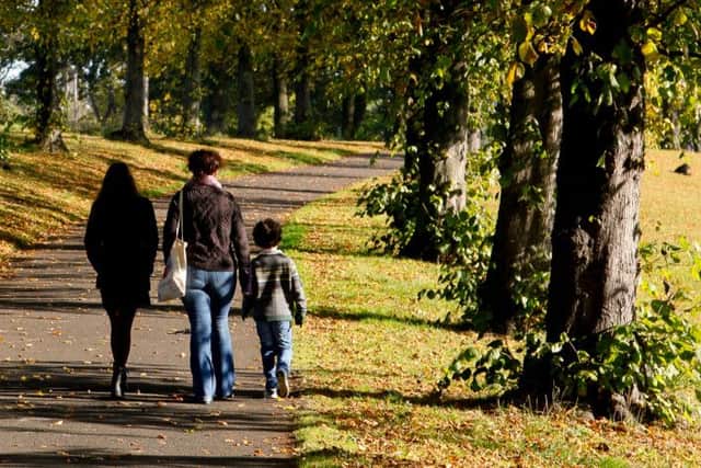 The avenue of trees in Inverleith is a popular walking route. Picture: Scott Louden/TSPL