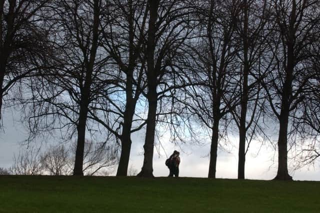 Inverleith Park is home to a variety of mature trees. Picture: Cate Gillon/TSPL