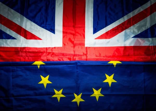 Ex-pats lost right to vote in EU referendum: Picture: Ian Georgeson