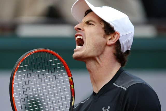 Andy Murray celebrates winning a crucial point against Radek Stepanek. Picture: AP.