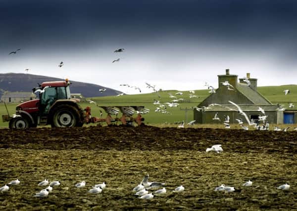 Orkney farmers are still suffering from last year's terrible summer. Picture: TSPL