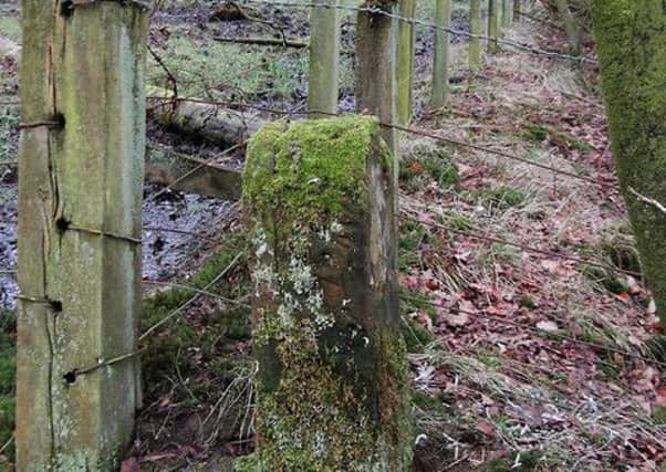 Scots Dyke boundary stone.