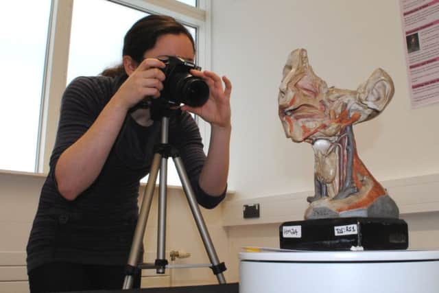 Laura Perez, research assitant at Aberdeen University, is compiling anatomical images for the project.