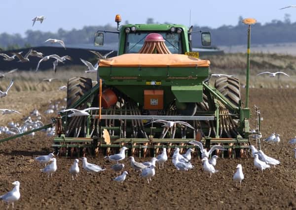 Soil in our country is being asked to produce too much. Picture: Neil Hanna/TSPL