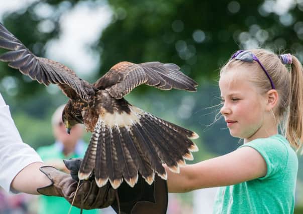 The annual Scottish Game Fair at Scone Palace. Picture: Ian Georgeson