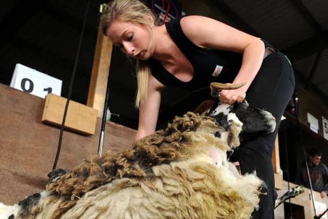 The BWMB said wool prices are under pressure this year. Picture: Lisa Ferguson
