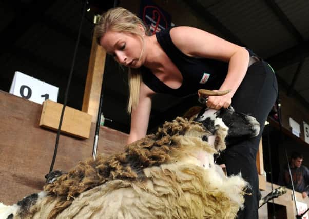 The BWMB said wool prices are under pressure this year. Picture: Lisa Ferguson