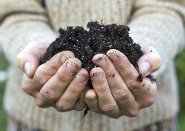 The James Hutton Institute called for better regulation of soil management. Picture: Getty Images/iStockphoto