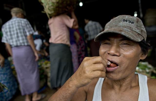 A Burmese man chews a kun-ya parcel  a kilo of the leaf now costs the same as a daily wage. Picture: AP