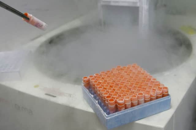 A scientific researcher handles frozen embryonic stem cells in a laboratory. Picture: PA