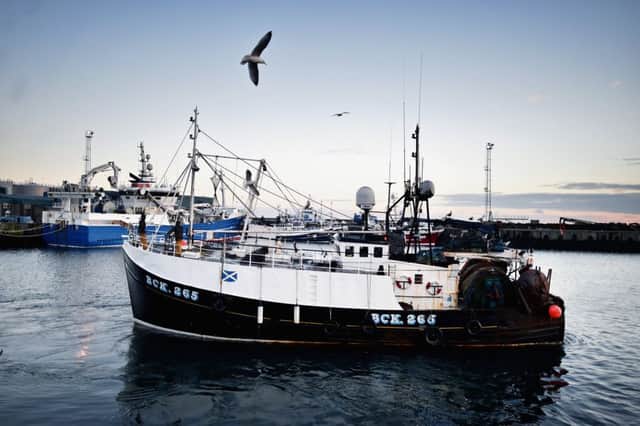 A fishing trawler arrives at Peterhead with the catch. Picture: Jeff J Mitchell/Getty