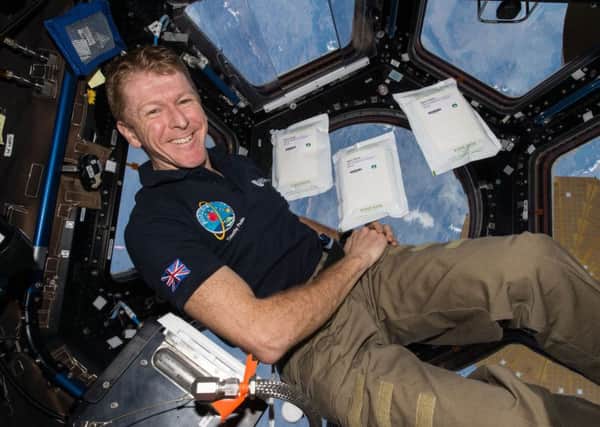 ESA astronaut Timothy Peake with space seeds in the cupola on the ISS. Picture: ESA/NASA
