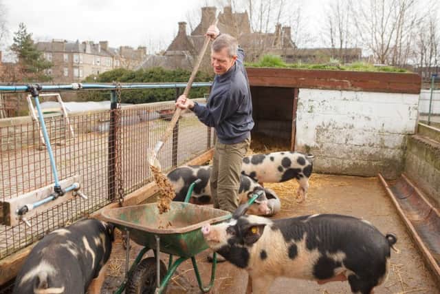 Scottish MP Willie Rennie visits Gorgie City Farm. Picture: TSPL