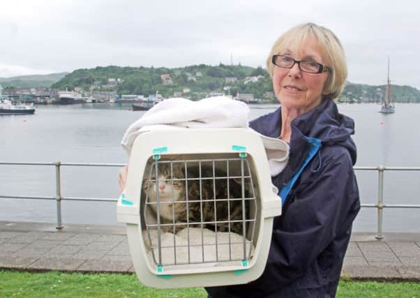 Jean Sutherland of charity Argyll Animal Aid with the stowaway, who she has vowed to return to her home hunting ground. Picture: Kevin McGlynn