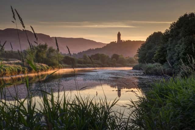 The River Forth looking towards the Wallace Monument. Picture: David Mould