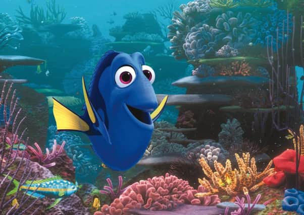 Finding Dory again features the voice of Ellen DeGeneres. Picture: Contributed