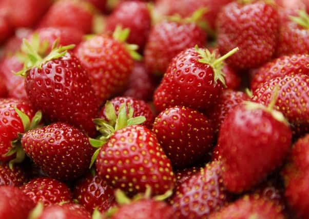 Spanish strawberries travel more than a thousand miles to satisfy our demand for seasonal fruit out of season. Picture: PA