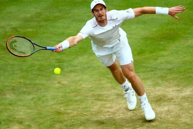 Murray was made to work for his victory. Picture: Getty