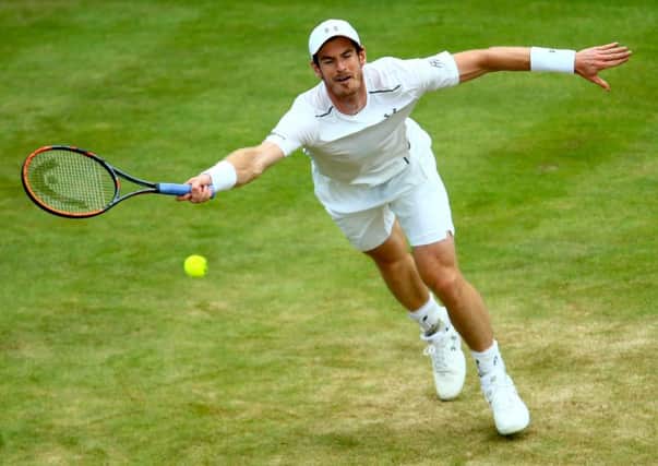 Murray was made to work for his victory. Picture: Getty